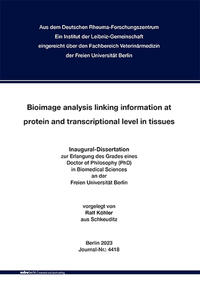 Bioimage analysis linking information at protein and transcriptional level in tissues