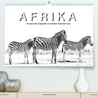 AFRIKA - Schwarz-weiss Fotografien im modernen "High Key" Look (Premium, hochwertiger DIN A2 Wandkalender 2023, Kunstdruck in Hochglanz)