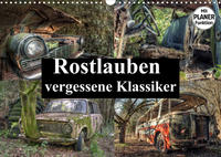 Rostlauben - vergessene Klassiker (Wandkalender 2023 DIN A3 quer)