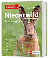 Das große BLV Handbuch Niederwild