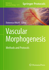 Vascular Morphogenesis