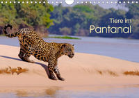 Tiere im Pantanal - viaje.ch (Wandkalender 2021 DIN A4 quer)