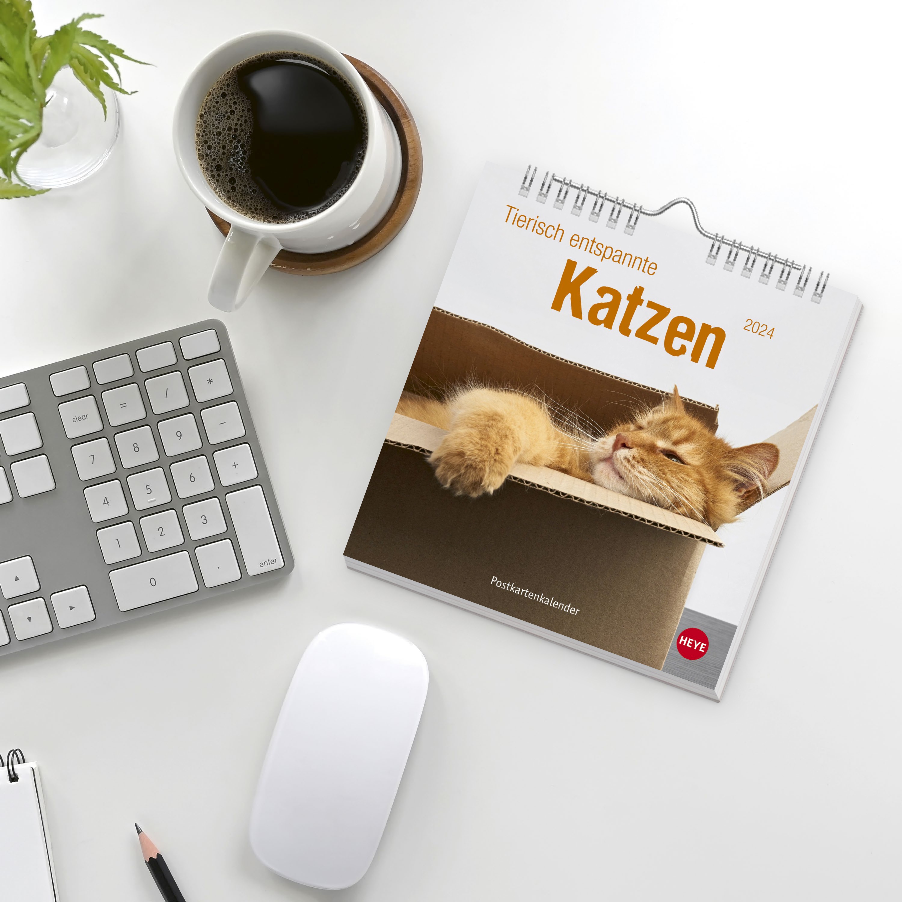 Tierisch entspannte Katzen Postkartenkalender 2024. Witzige Fotos verschlafender Stubentiger in einem Tischkalender zum Aufstellen oder Aufhängen. Kleiner Kalender 2024 für Katzenfans.