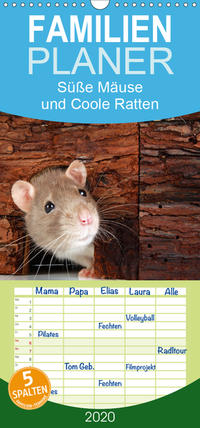 Süße Mäuse und Coole Ratten - Familienplaner hoch (Wandkalender 2020 , 21 cm x 45 cm, hoch)