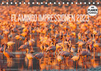 Flamingo Impressionen 2023 (Tischkalender 2023 DIN A5 quer)