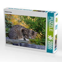 CALVENDO Puzzle Getigerte Katze 2000 Teile Lege-Größe 90 x 67 cm Foto-Puzzle Bild von Sabine Löwer