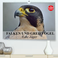 Falken und Greifvögel - Edle Jäger (Premium, hochwertiger DIN A2 Wandkalender 2022, Kunstdruck in Hochglanz)