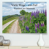 Viele Wege - ein Ziel Wandern im Odenwald (Premium, hochwertiger DIN A2 Wandkalender 2020, Kunstdruck in Hochglanz)