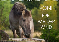 Konik - Frei geboren (Wandkalender 2022 DIN A2 quer)