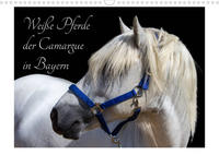 Weiße Pferde der Camargue in Bayern (Wandkalender 2022 DIN A3 quer)