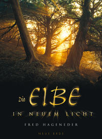 Die Eibe in neuem Licht