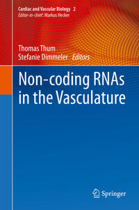 Non-coding RNAs in the Vasculature