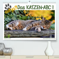 achja - Das Katzen-ABC (Premium, hochwertiger DIN A2 Wandkalender 2022, Kunstdruck in Hochglanz)