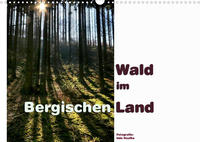 Wald im Bergischen Land 2023 (Wandkalender 2023 DIN A3 quer)