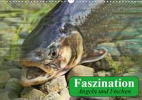 Faszination Angeln und Fischen (Wandkalender 2020 DIN A3 quer)