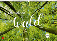 Sehnsuchtsort Wald 2023