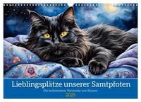 Lieblingsplätze unserer Samtpfoten (Wandkalender 2025 DIN A3 quer), CALVENDO Monatskalender