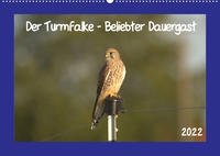 Der Turmfalke - Beliebter Dauergast (Wandkalender 2022 DIN A2 quer)