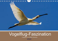 Vogelflug-Faszination (Wandkalender 2022 DIN A4 quer)