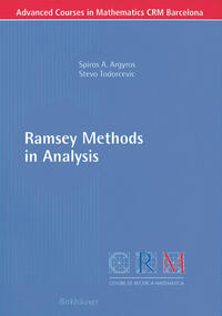 Ramsey Methods in Analysis