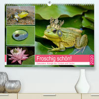 Froschig schön! Dekorative Könige der Tümpel und Teiche (Premium, hochwertiger DIN A2 Wandkalender 2020, Kunstdruck in Hochglanz)