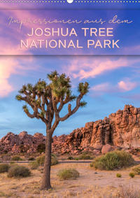 Impressionen aus dem JOSHUA TREE NATIONAL PARK (Wandkalender 2021 DIN A2 hoch)