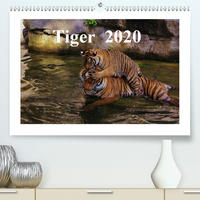 Tiger 2020 (Premium, hochwertiger DIN A2 Wandkalender 2020, Kunstdruck in Hochglanz)