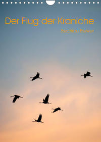 Der Flug der Kraniche (Wandkalender 2023 DIN A4 hoch)