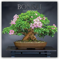 Bonsai 2022 – 16-Monatskalender