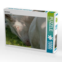 CALVENDO Puzzle Barockesel 1000 Teile Lege-Größe 64 x 48 cm Foto-Puzzle Bild von Meike Bölts