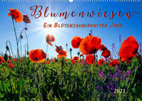 Blumenwiesen – ein blütenzauberhaftes Jahr (Wandkalender 2023 DIN A2 quer)