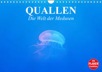 Quallen. Die Welt der Medusen (Wandkalender 2023 DIN A4 quer)