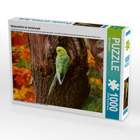 CALVENDO Puzzle Wellensittich im Herbstwald 1000 Teile Lege-Größe 64 x 48 cm Foto-Puzzle Bild von Björn Bergmann