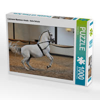 CALVENDO Puzzle Lipizzaner Maestoso Amata - Hohe Schule 1000 Teile Lege-Größe 64 x 48 cm Foto-Puzzle Bild von Sigrid Starick