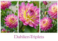 Dahlien-Triplets (Wandkalender 2023 DIN A4 quer)