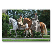 Premium Textil-Leinwand 90 x 60 cm Quer-Format Genete Bonmot du Roi und Lusitano Odeceixe | Wandbild, HD-Bild auf Keilrahmen, Fertigbild auf hochwertigem Vlies, Leinwanddruck von Sigrid Starick