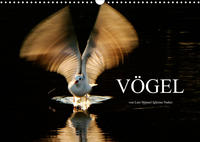 VÖGEL (Wandkalender 2022 DIN A3 quer)