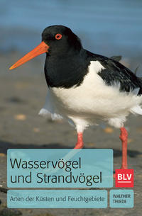 Wasservögel und Strandvögel