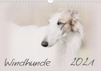 Windhunde 2021 (Wandkalender 2021 DIN A4 quer)