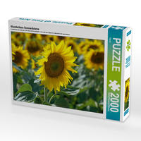 CALVENDO Puzzle Wunderbare Sonnenblume 2000 Teile Lege-Größe 90 x 67 cm Foto-Puzzle Bild von Flori0