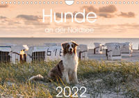 Hunde an der Nordsee (Wandkalender 2022 DIN A4 quer)