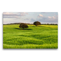 Premium Textil-Leinwand 75 x 50 cm Quer-Format Getreidefelder im Baixo Alentejo, Portugal | Wandbild, HD-Bild auf Keilrahmen, Fertigbild auf hochwertigem Vlies, Leinwanddruck von Martin Zwick