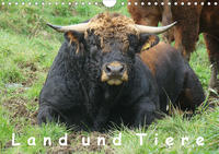 Land und Tiere (Wandkalender 2020 DIN A4 quer)