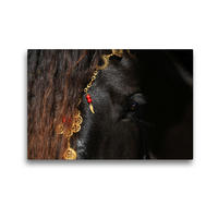 Premium Textil-Leinwand 45 x 30 cm Quer-Format Magische Momente - Pferde Horses Caballos | Wandbild, HD-Bild auf Keilrahmen, Fertigbild auf hochwertigem Vlies, Leinwanddruck von Petra Eckerl Tierfotografie www.petraeckerl.com