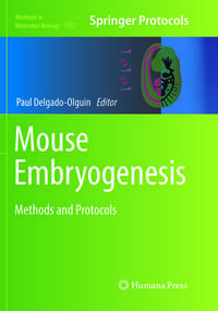 Mouse Embryogenesis