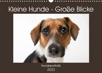 Kleine Hunde - Große Blicke (Wandkalender 2023 DIN A3 quer)