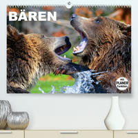 Bären (Premium, hochwertiger DIN A2 Wandkalender 2023, Kunstdruck in Hochglanz)