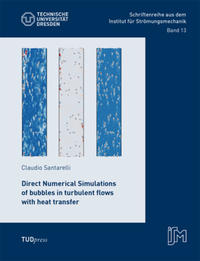 Direct Numerical Simulations of bubbles in turbulent flows with heat transfer