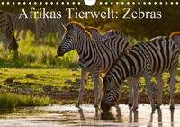 Afrikas Tierwelt: Zebras (Wandkalender 2020 DIN A4 quer)