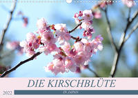 Die Kirschblüte in Japan (Wandkalender 2022 DIN A3 quer)